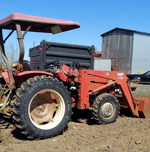 Auctions Chehalis Livestock Market