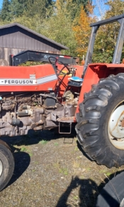 MF tractor MF tractor